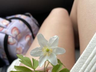 Izida - Live Sex Cam - 22989037