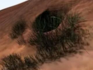 Test2 - Chat hot with a White Partner 