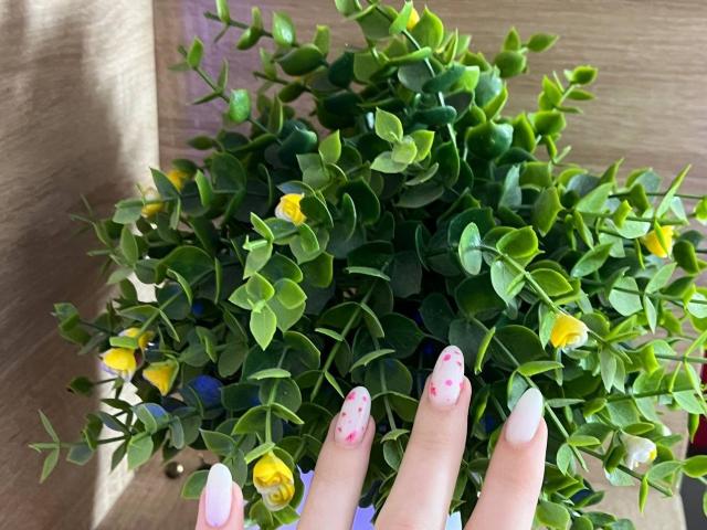 Valissia - Live sexe cam - 23151053