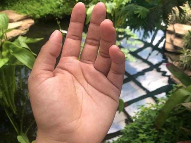 SophieSonyas - Live porn &amp; sex cam - 23155481