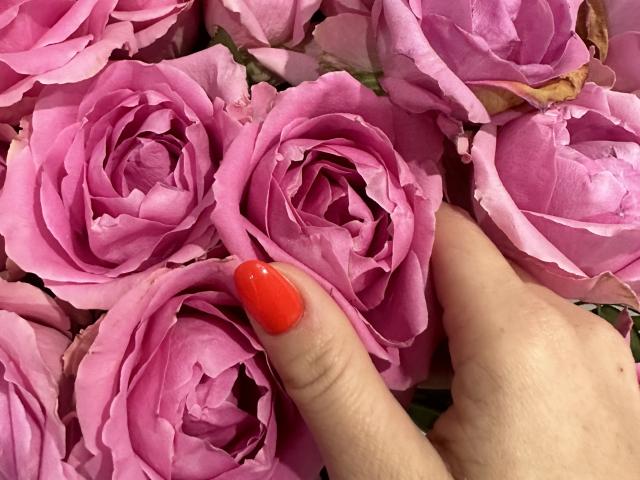 Stefanni - Live sex cam - 23781069