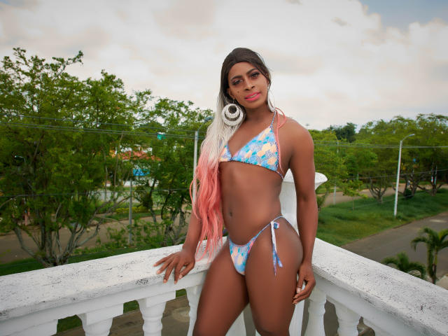 BriggitEbonny - Live sex cam - 23906221