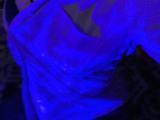 Freile - Sexe cam en vivo - 23927485