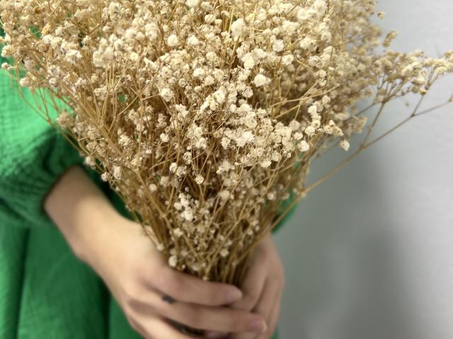 Laurali - Live sex cam - 24002109