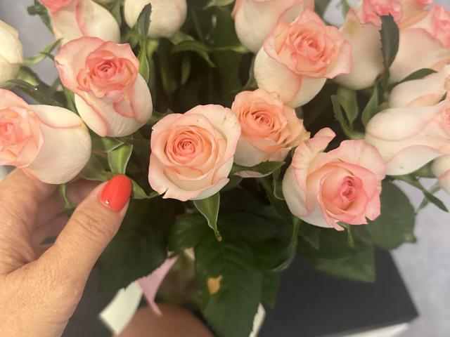 Stefanni - Live Sex Cam - 24406505