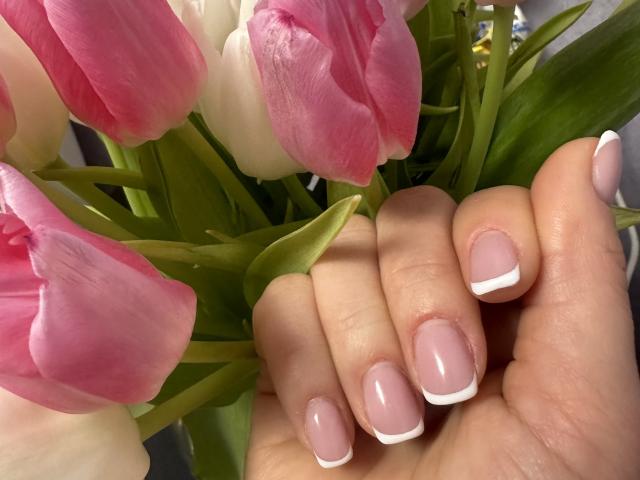 Stefanni - Live Sex Cam - 24406533