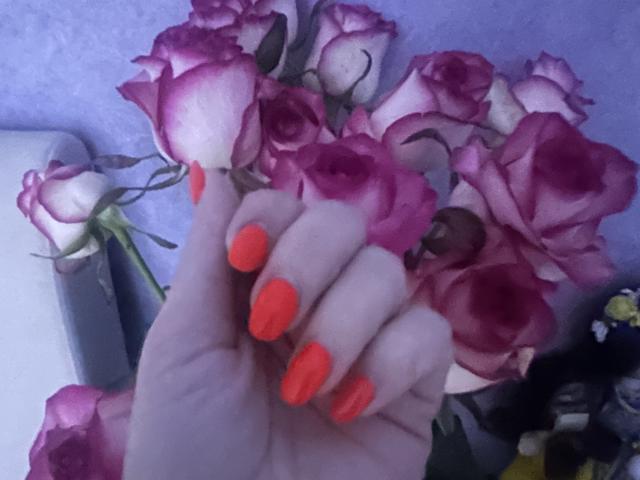 Stefanni - Live porn &amp; sex cam - 24406621