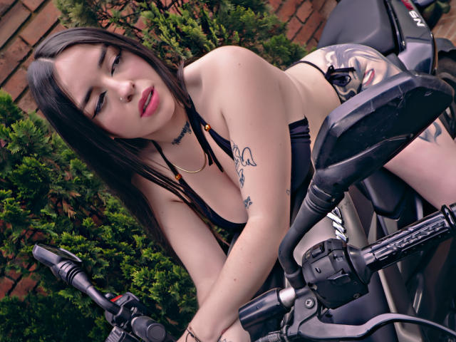 SteffaCandle - Sexe cam en vivo - 24442105