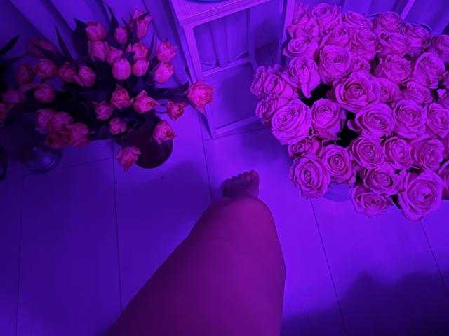 Stefanni - Live porn &amp; sex cam - 24449841