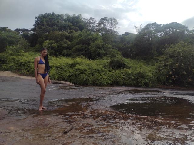 AllisonPearson - Sexe cam en vivo - 24488993