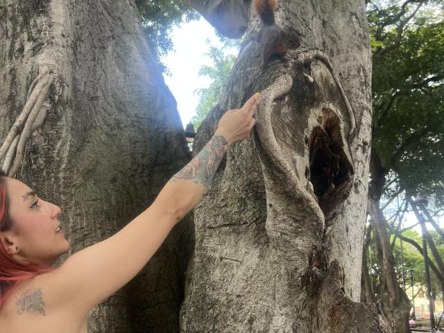 AmyStreetwise69 - Camera khiêu dâm &amp; quyến rũ trực tiếp - 24617541