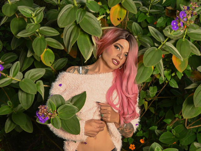 AlexJhonsons - Sexe cam en vivo - 24633537