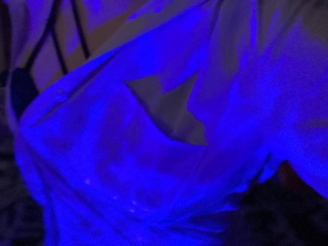 Freile - Live porn &amp; sex cam - 24730609