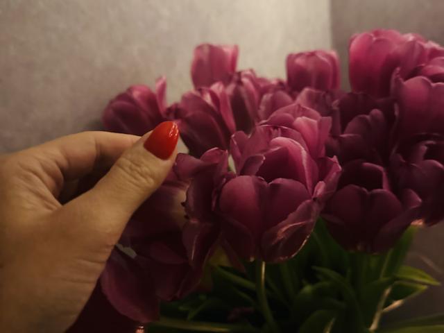 Stefanni - Sexe cam en vivo - 24769609