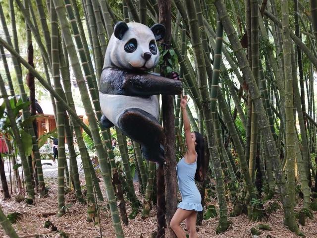 SophieQuinn - Live sex cam - 24785041