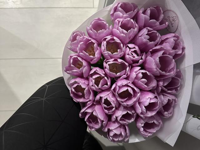 Stefanni - Sexe cam en vivo - 24821585