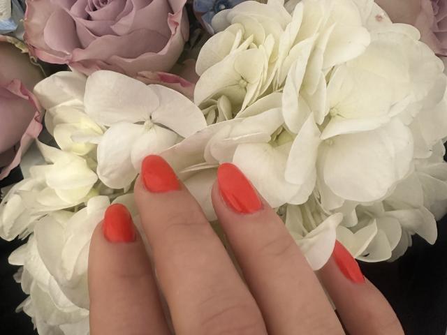 Stefanni - Sexe cam en vivo - 24871029