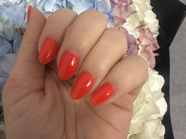 Stefanni - Live porn &amp; sex cam - 24871033