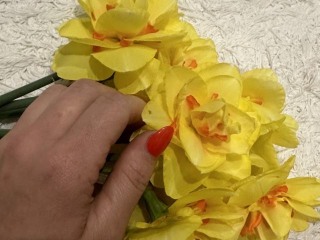 Stefanni - Live sexe cam - 24999005