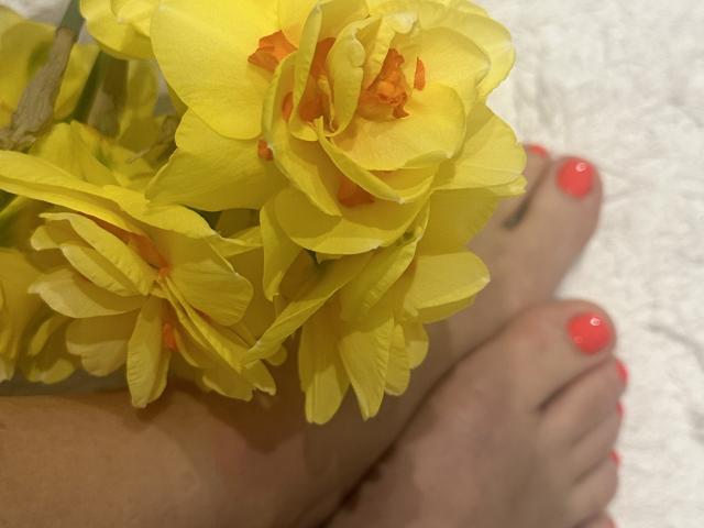 Stefanni - Live Sex Cam - 24999013