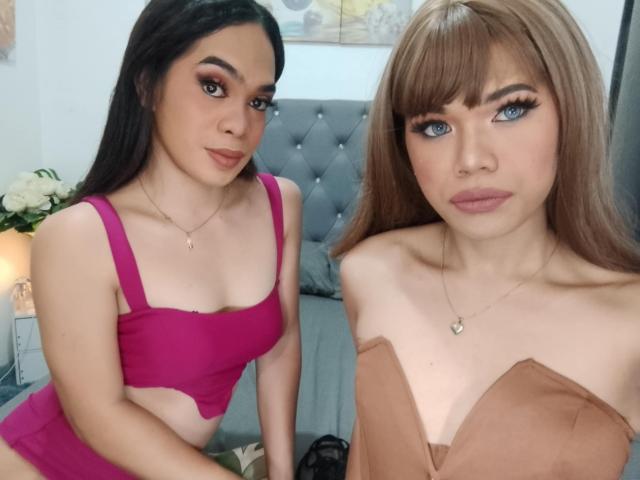 PerfectDuoTrans - Live sex cam - 25029589
