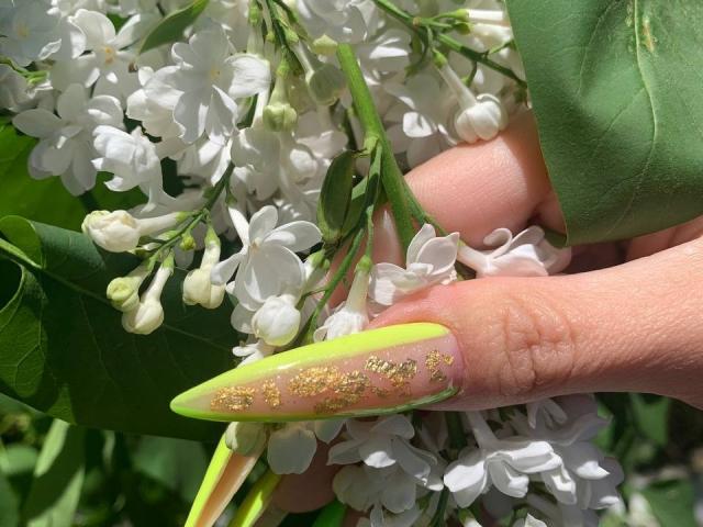 Jumiera - Live Sex Cam - 25306445