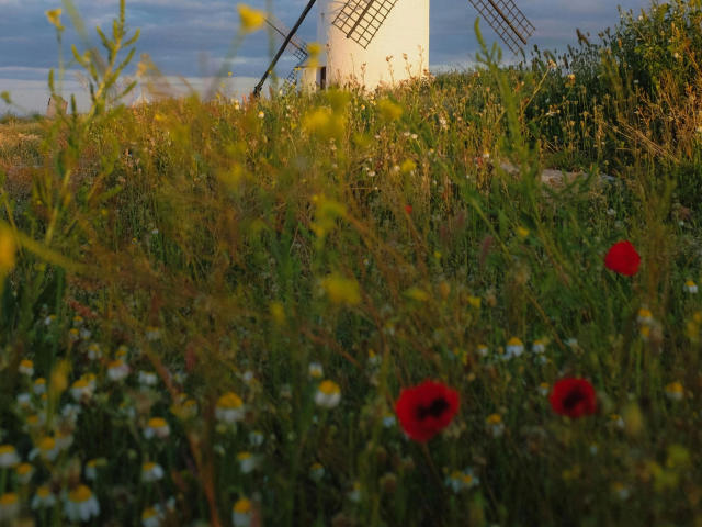 Coco25-hot - Sexe cam en vivo - 25500881