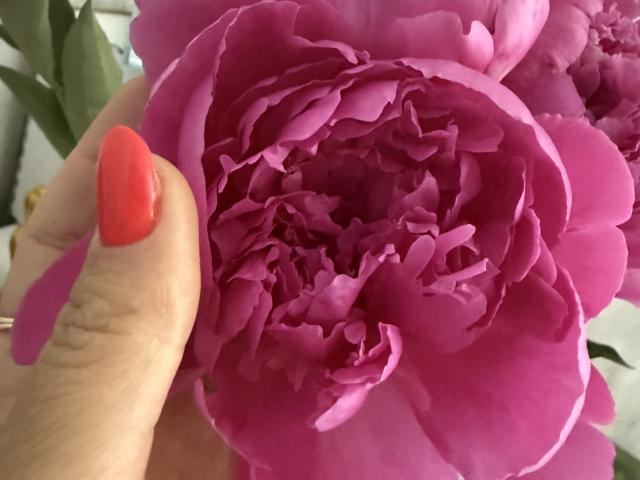 Stefanni - Live Sex Cam - 25512341