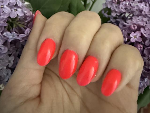 Stefanni - Live sex cam - 25512361