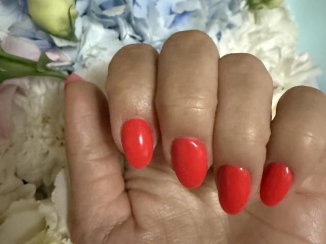 Stefanni - Live porn &amp; sex cam - 25862961