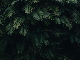 MissyCloud-hot - Live Sex Cam - 26095125