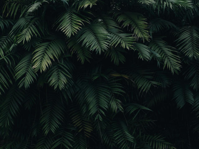 MissyCloud-hot - Live Sex Cam - 26095125