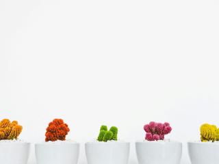 MissyCloud-hot - Live Sex Cam - 26095129