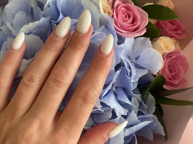 AlicePrings - Live Sex Cam - 26243485