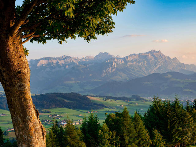 LittleApril-hot - Live sex cam - 26342693