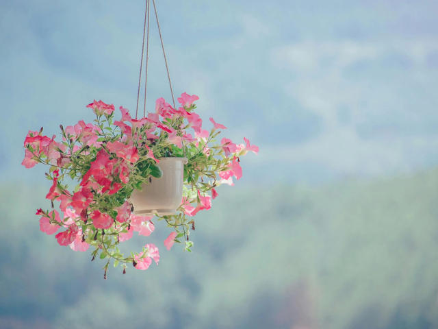 MissSunshine-hot - Live porn &amp; sex cam - 26344649