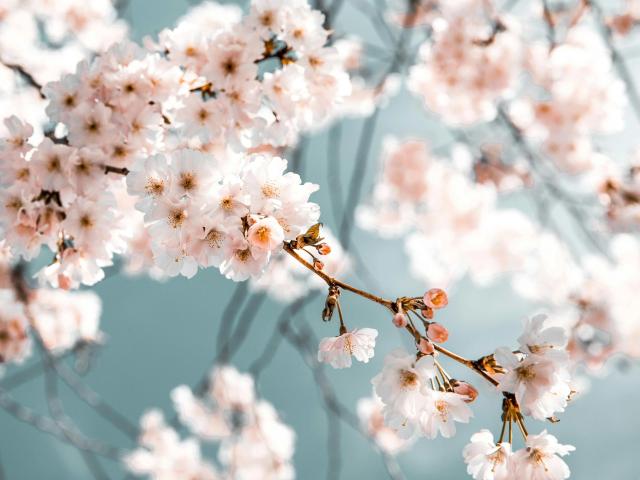 MissSunshine-hot - Live porn &amp; sex cam - 26344661