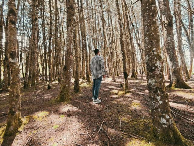 Edahi - Live sex cam - 26364309