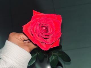 Amberv - Live sex cam - 26375613