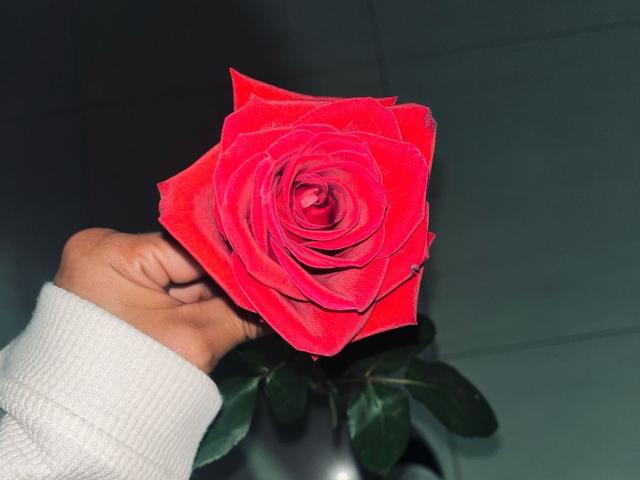 Amberv - Live Sex Cam - 26375613