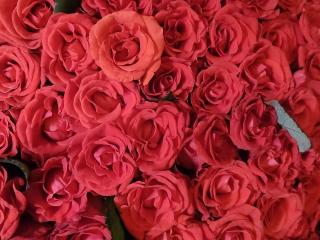 Nurri - Live Sex Cam - 26378041