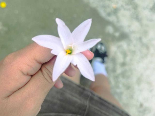 LissyCarter - Sexe cam en vivo - 26466153