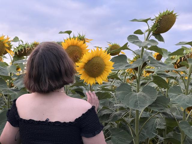 StaceyLex - Sexe cam en vivo - 26511693