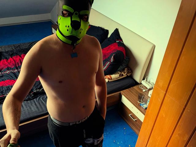 RockyThepupp-hot - Sexe cam en vivo - 26549816