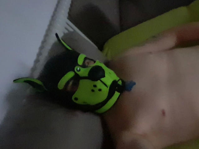 RockyThepupp-hot - Sexe cam en vivo - 26549824