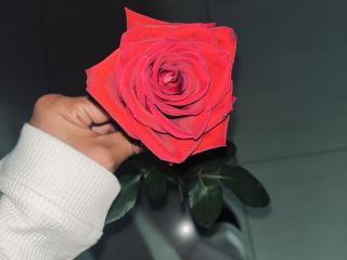 Amberv - Live sex cam - 27042900