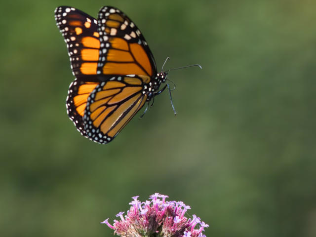 RaulModelTest - Camera khiêu dâm &amp; quyến rũ trực tiếp - 27227602