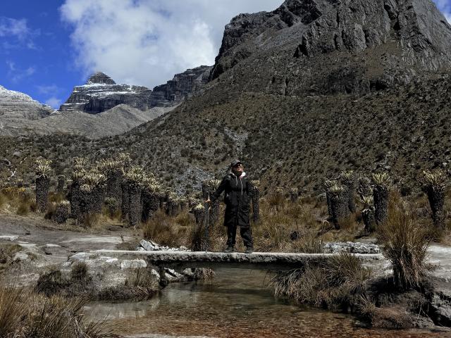 AtheneaRossi - Live porn &amp; sex cam - 27247118