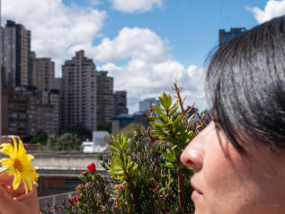 JainaRogers - Live porn &amp; sex cam - 27317665