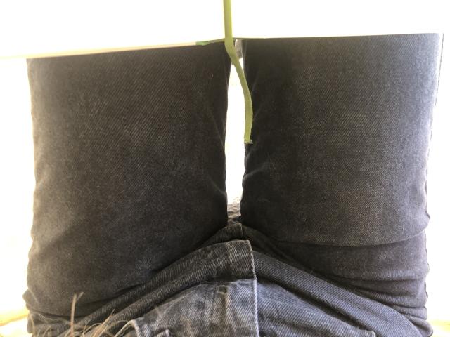 ElMarina - Sexe cam en vivo - 27508919